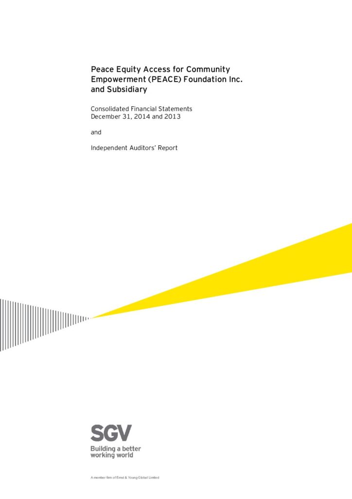 2014 PEF Financial Statement