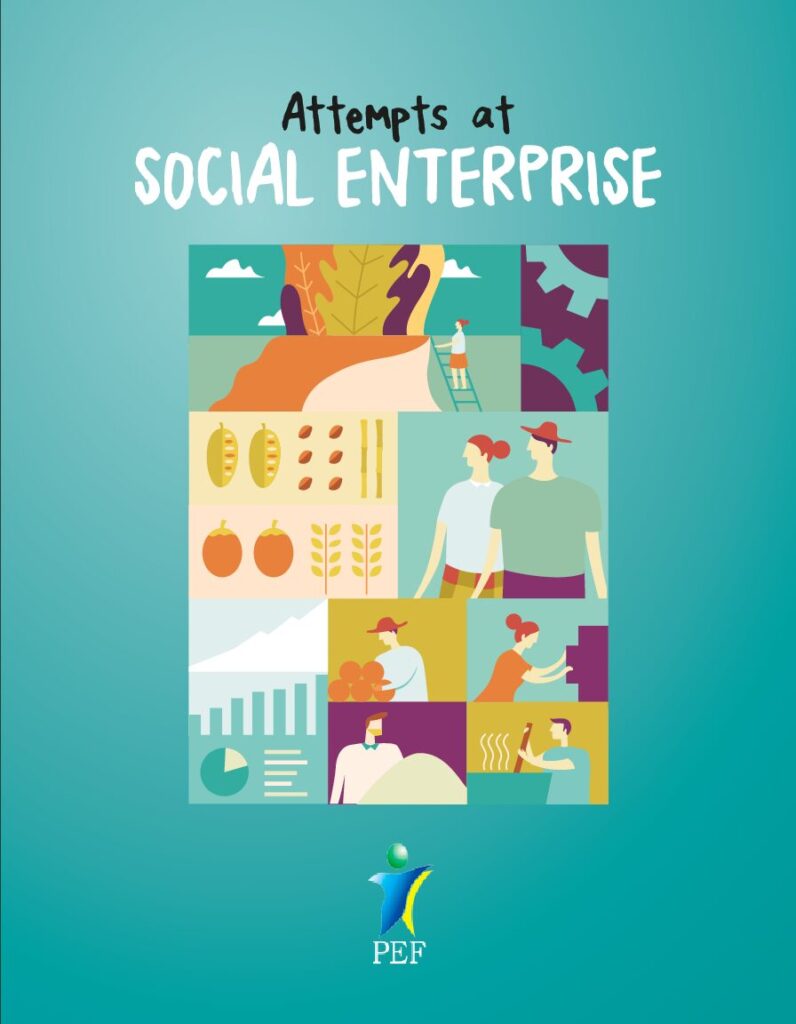 Attempts at Social Enterprise