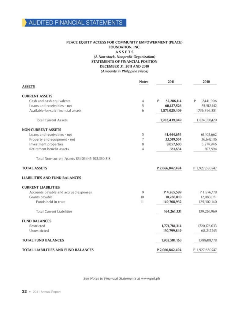 2011 PEF Financial Statement