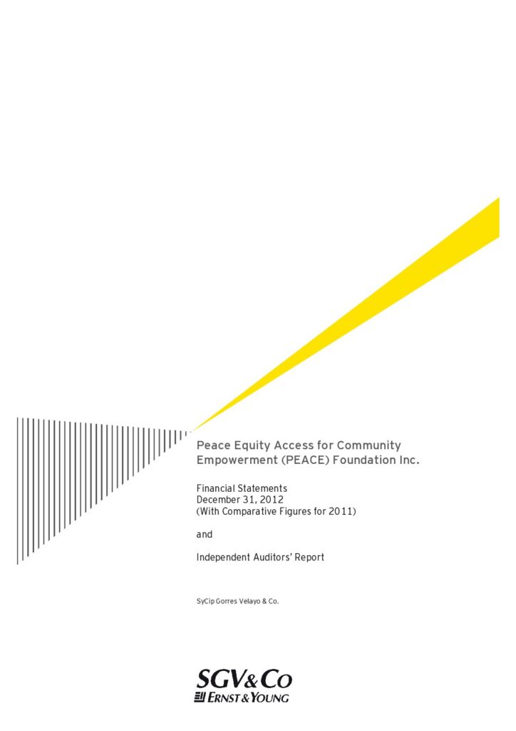 2012 PEF Financial Statement