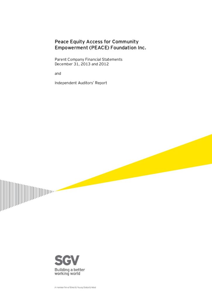 2013 PEF Financial Statement