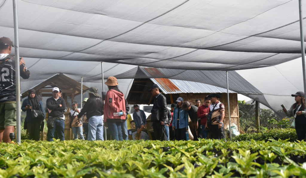 The Sultan Kudarat – Bukidnon coffee connection The Sultan Kudarat – Bukidnon coffee connection